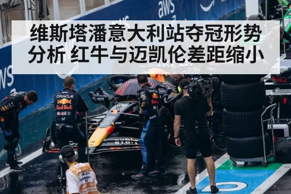Red Bull F1 team