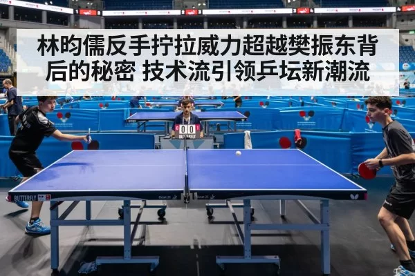 professional table tennis match